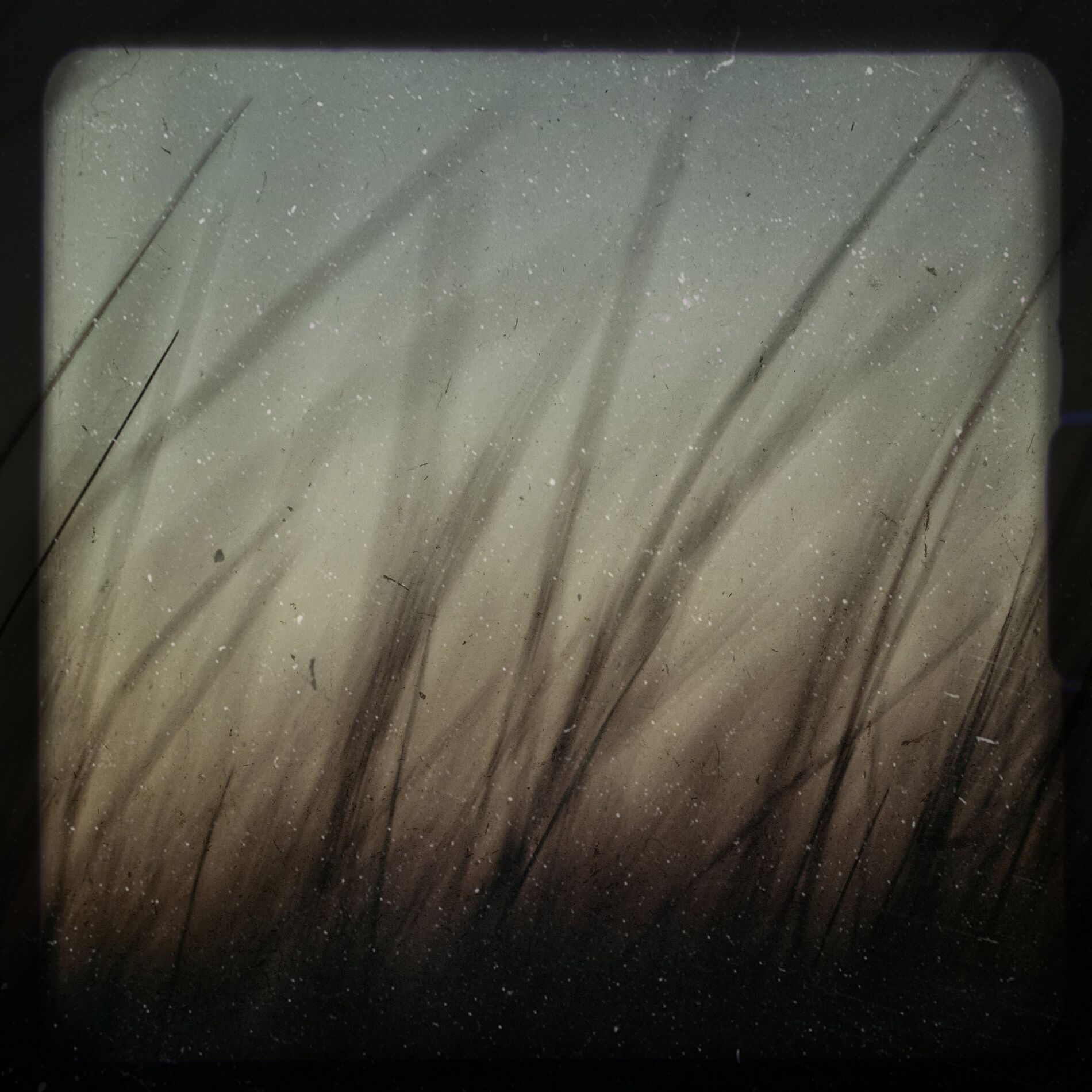 Album cover of Vindstilla