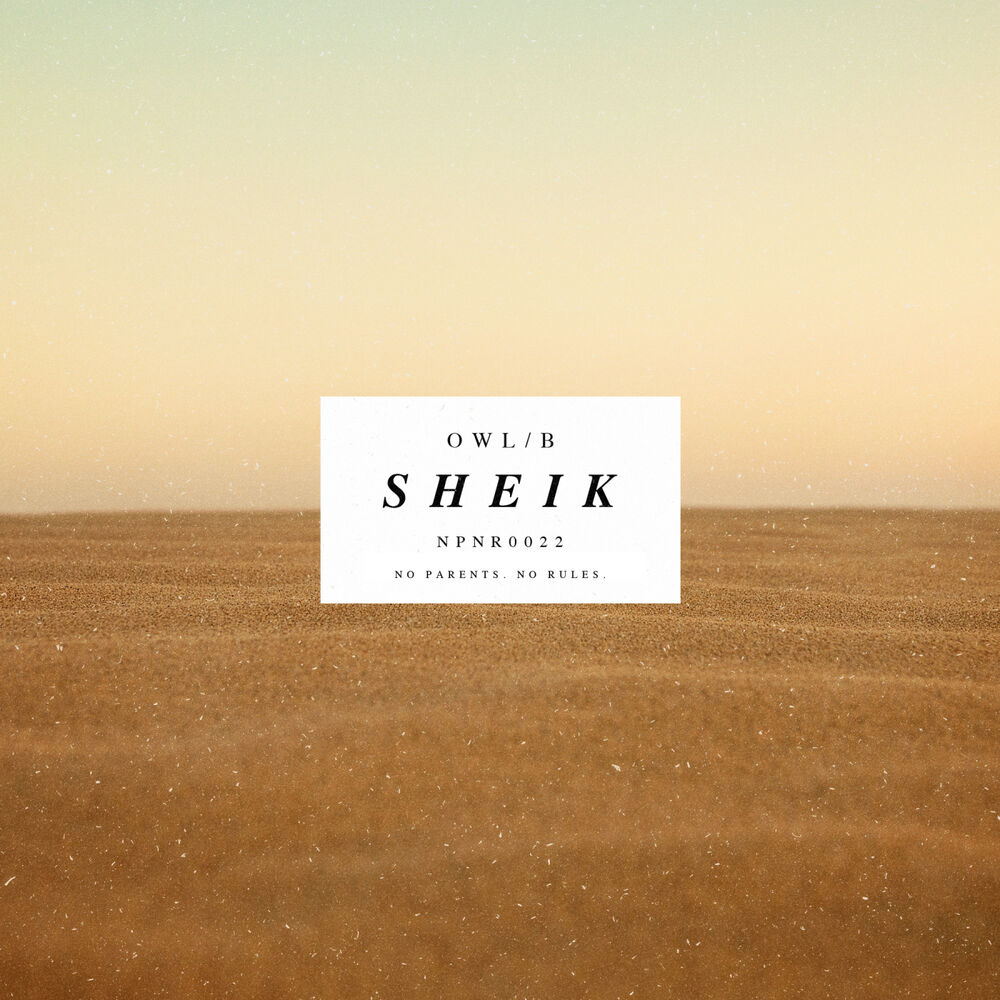 Picture of Sheik