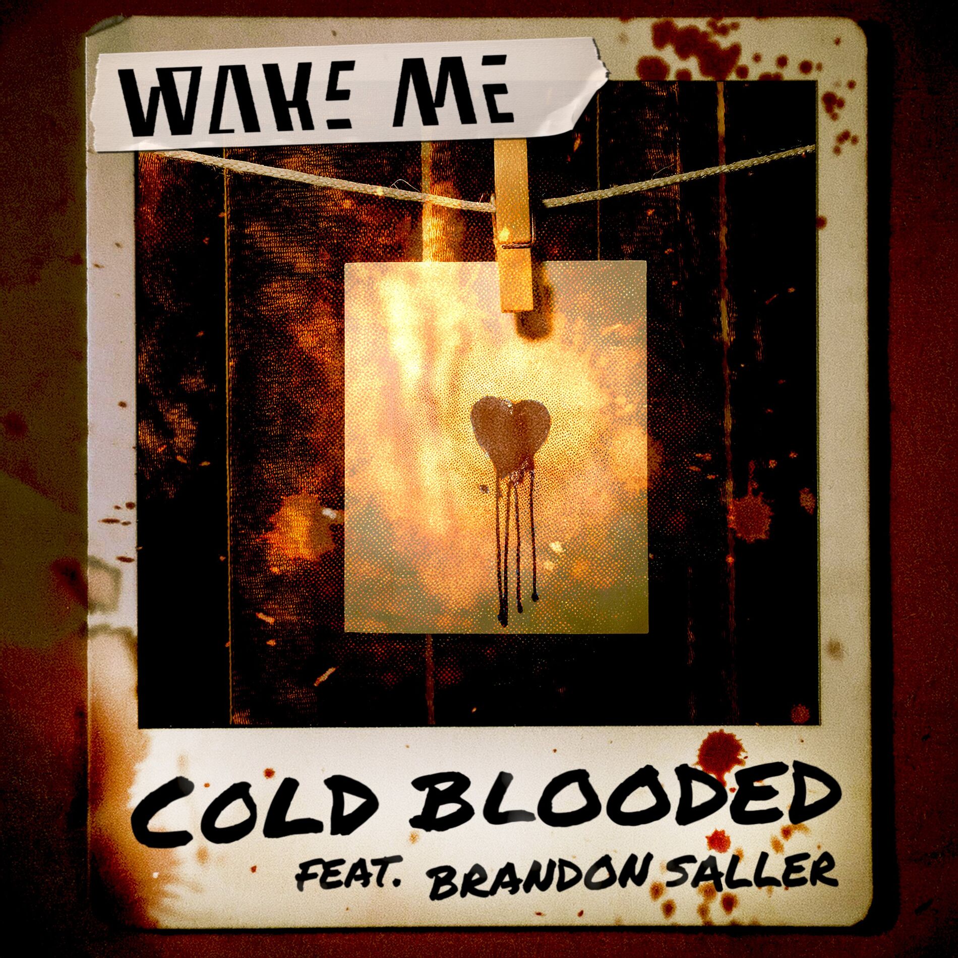 Album cover of Cold Blooded