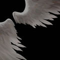 ICARUS