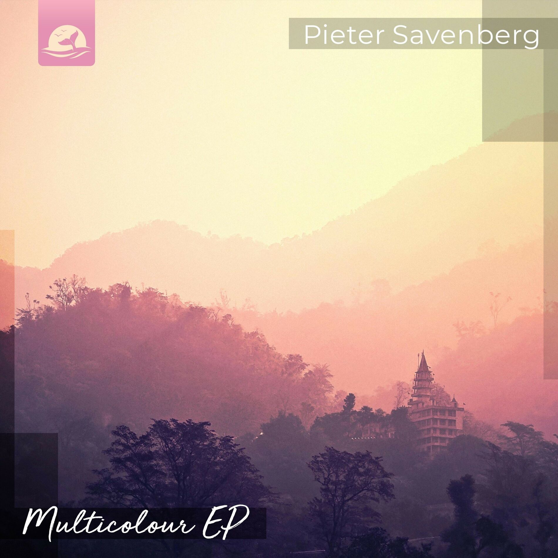 Album cover of Multicolour