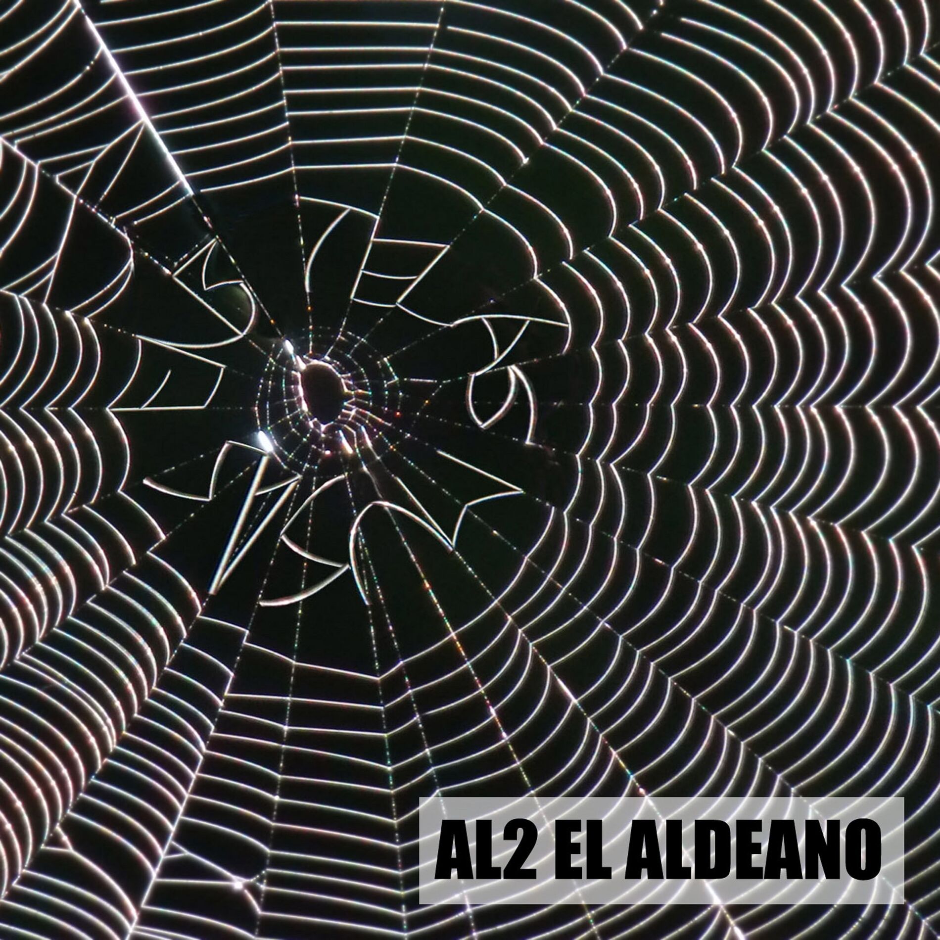 Album cover of En3 Telas Musas