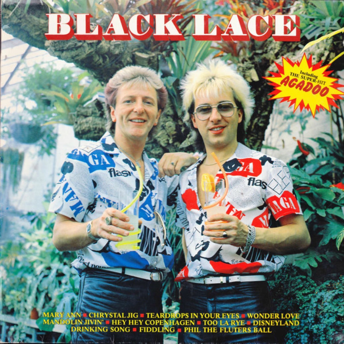 Album cover of Black Lace