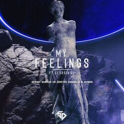 Cover of My Feelings