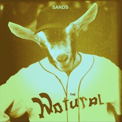 Cover of The Natural