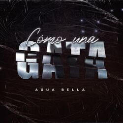 Cover of Como una Gata