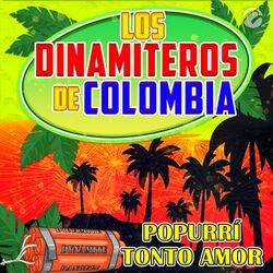 Cover of Popurrí Tonto Amor