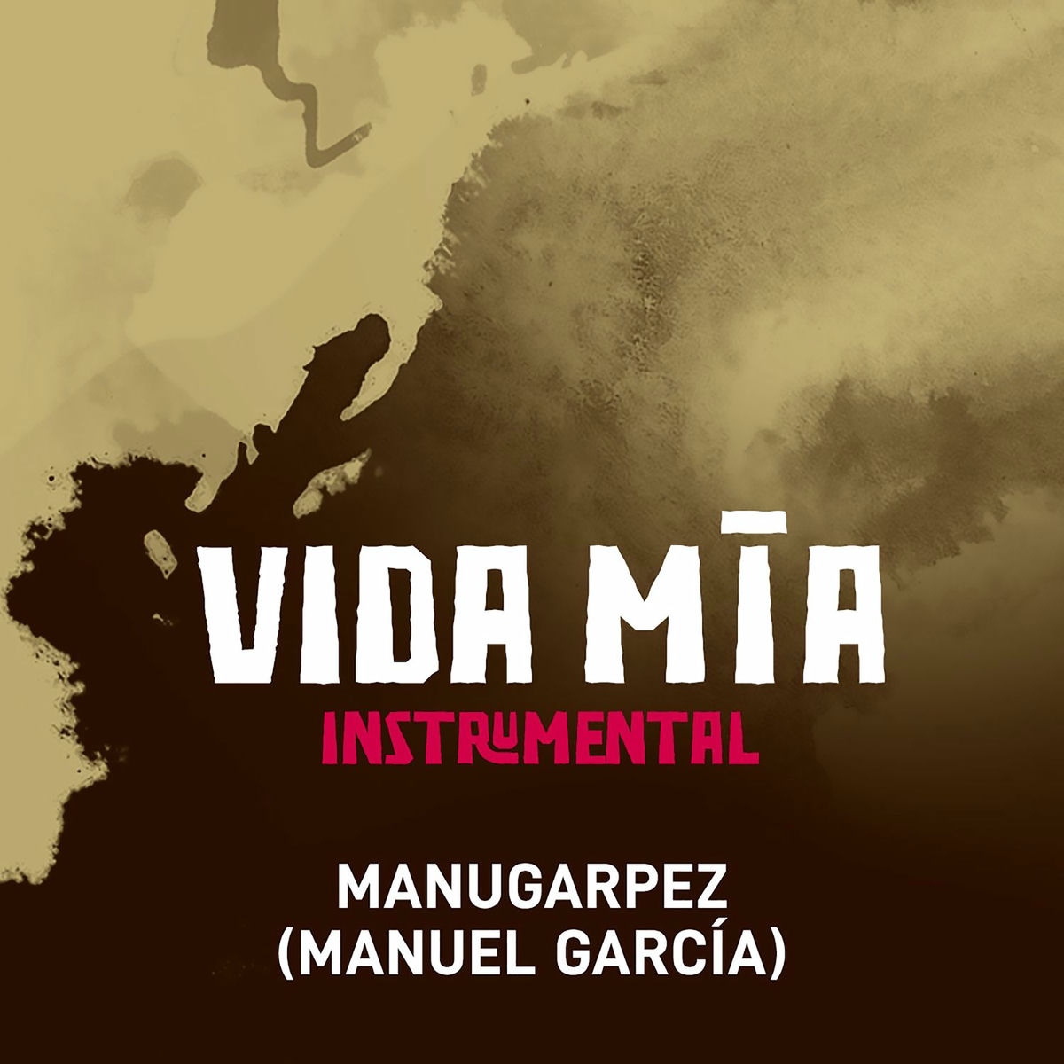 Album cover of Vida Mía (Instrumental)