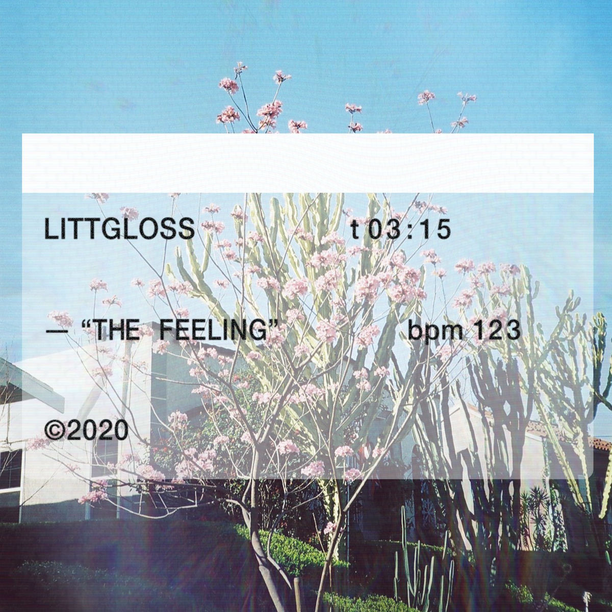 Album cover of The Feeling