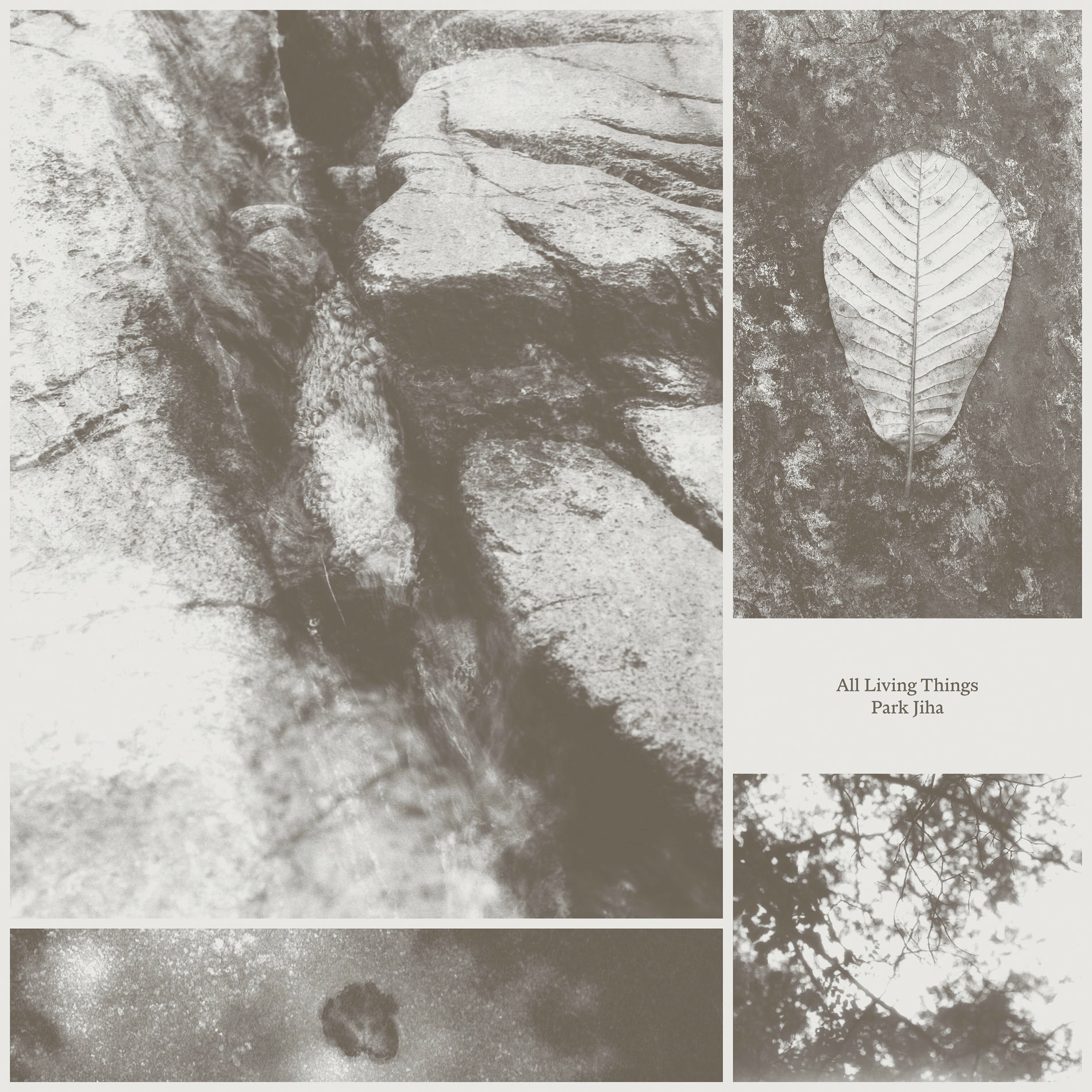 Album cover of All Living Things