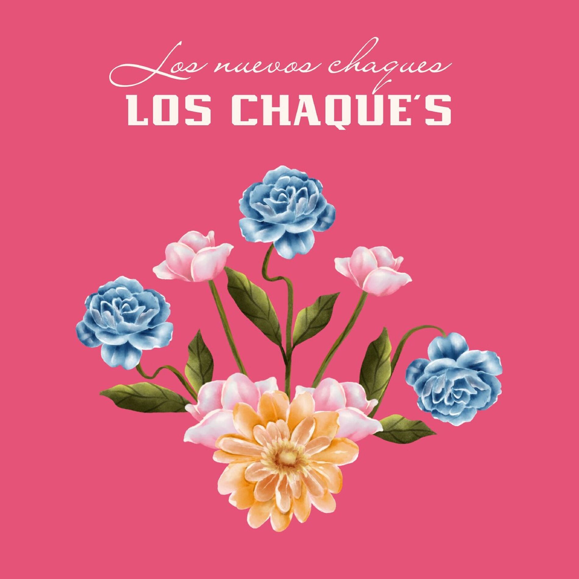 Album cover of Los nuevos chaques