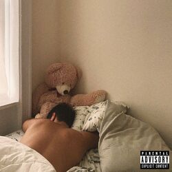 Cover of Dream Seller