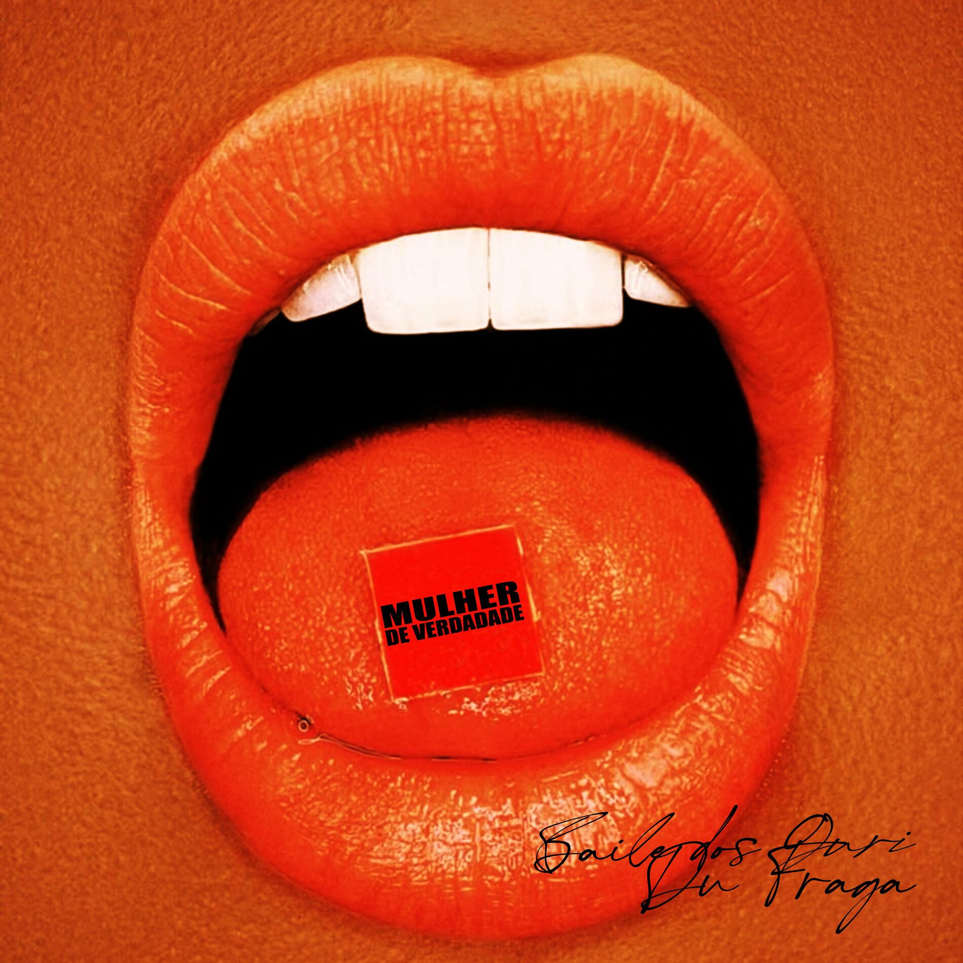 Album cover of MuLHER dE VERdAdE :P