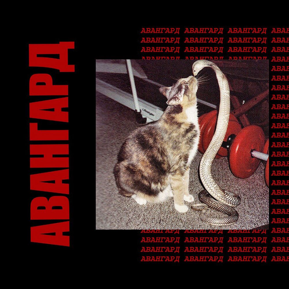 Picture of авангард