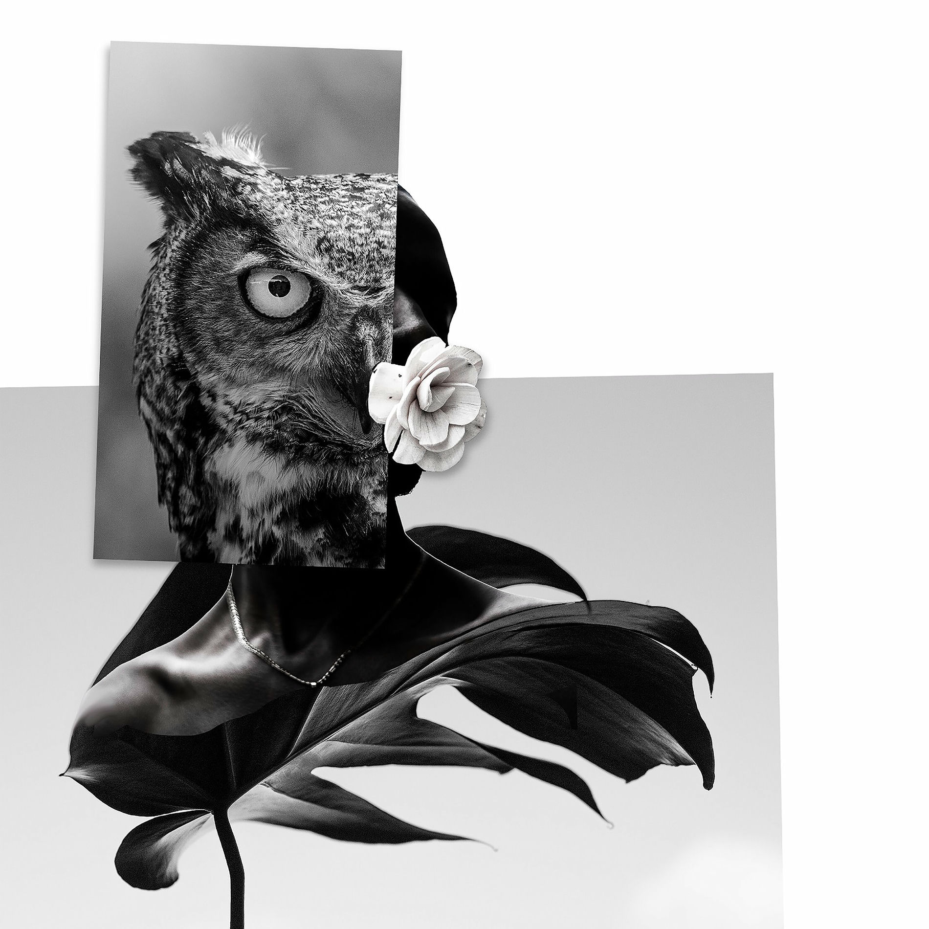 Album cover of Sueño