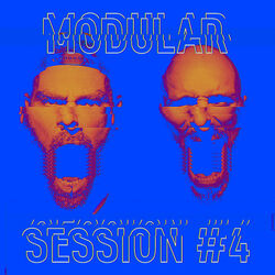 Cover of Modular Session #4