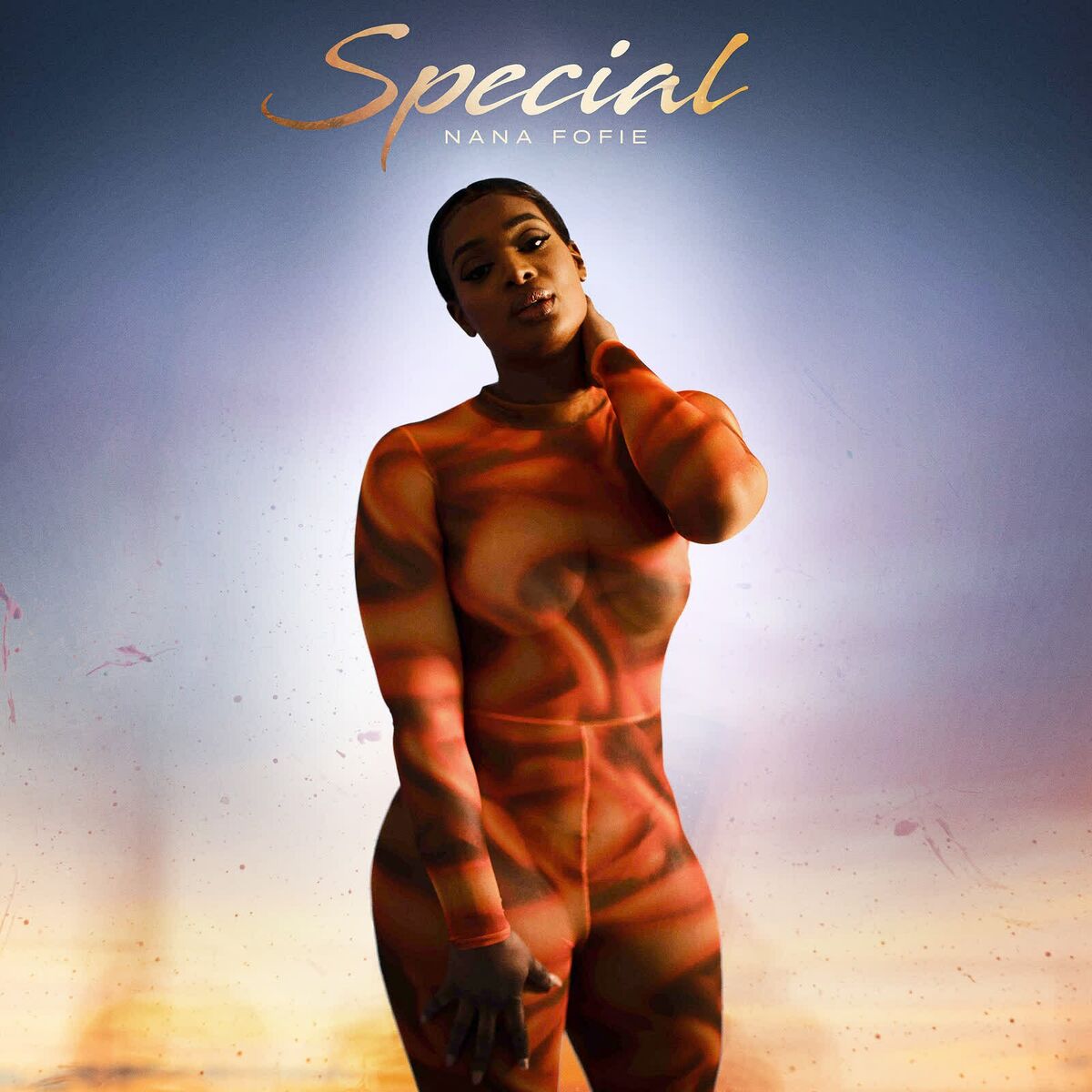 Album cover of Special