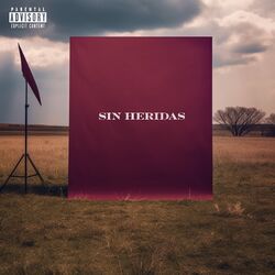 Cover of Sin Heridas