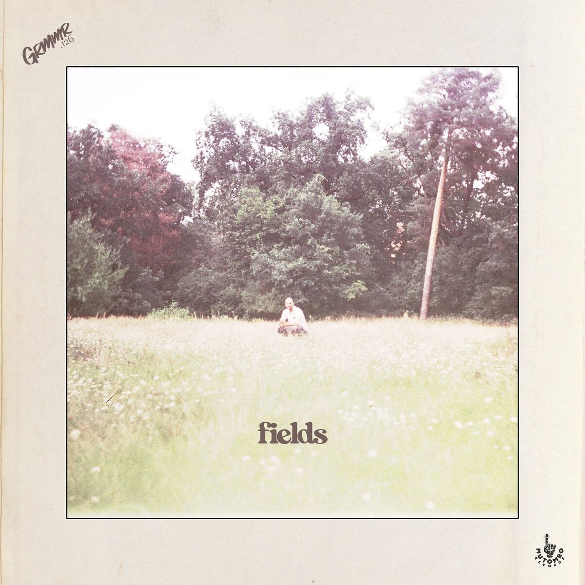 Album cover of fields