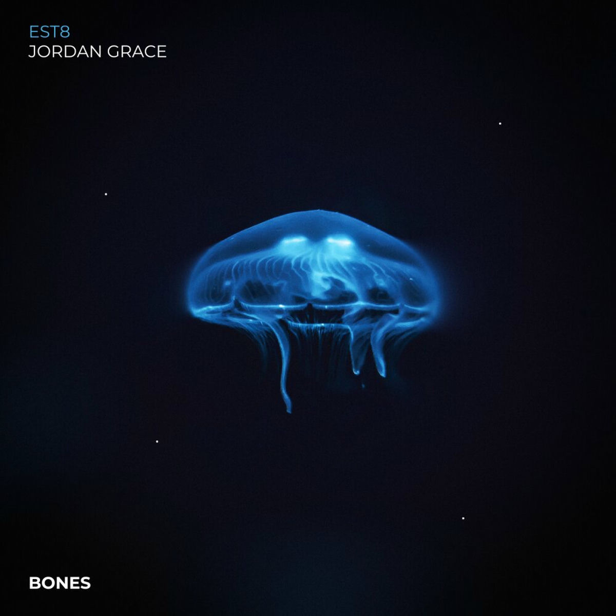Album cover of Bones