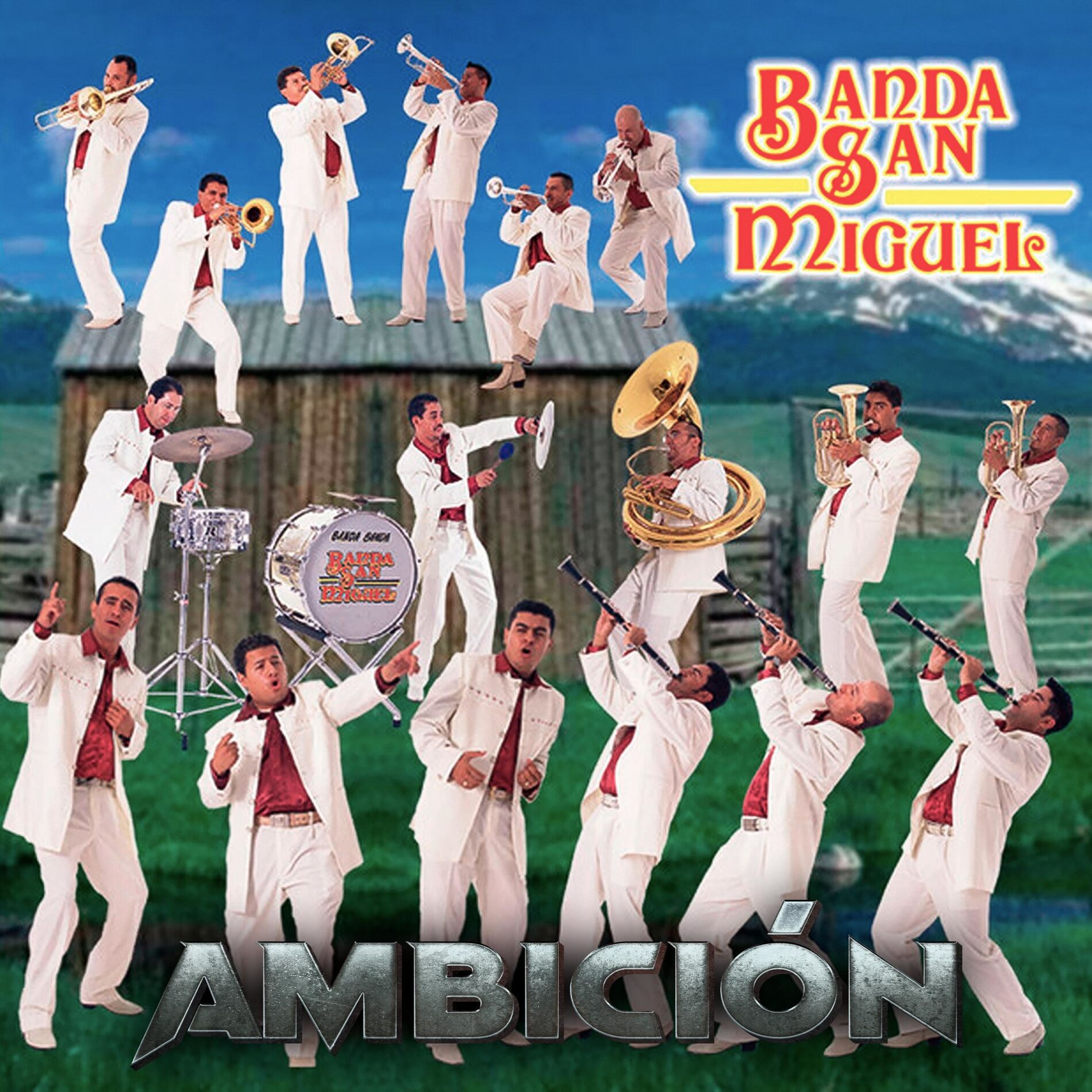 Album cover of Ambición