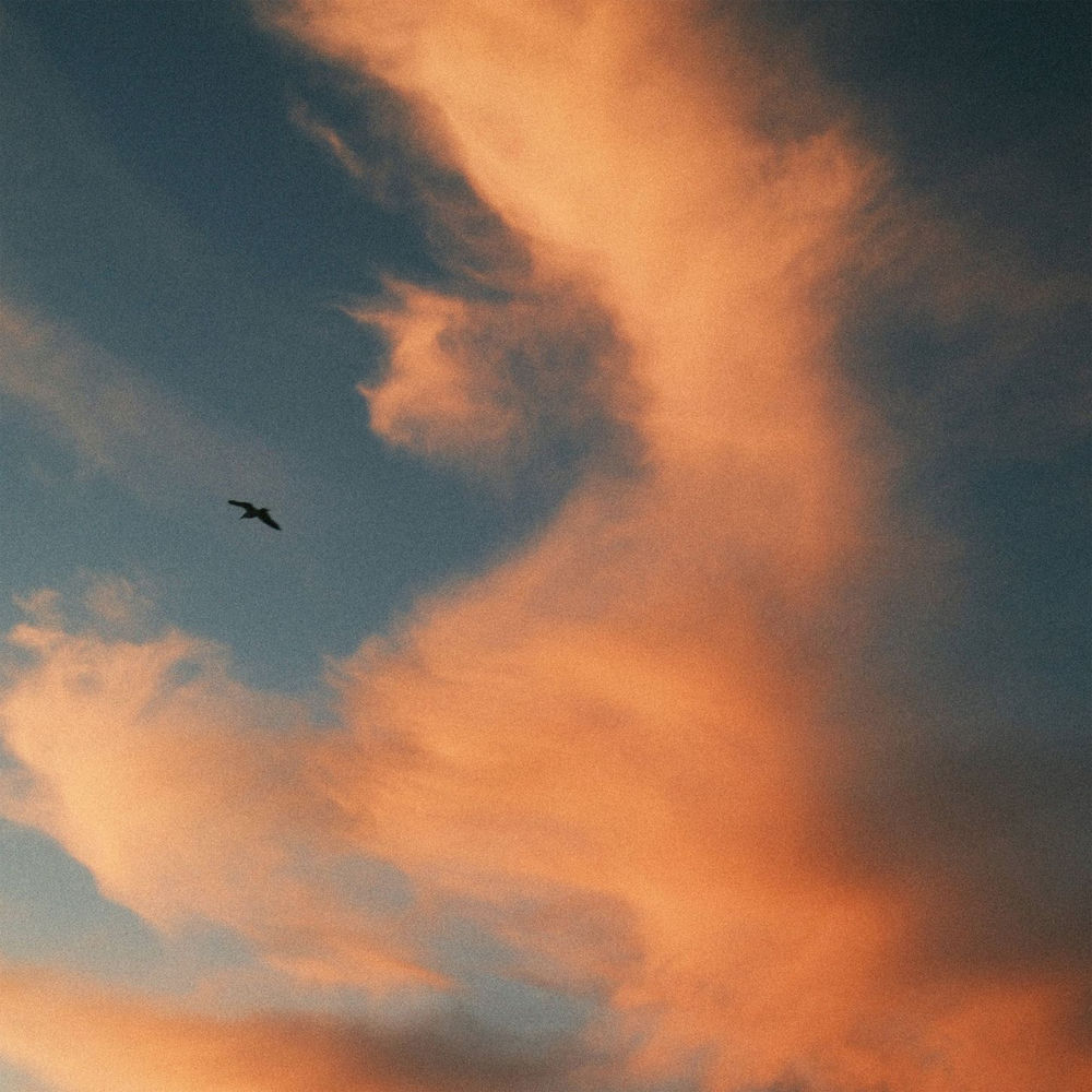 hovering in the clouds