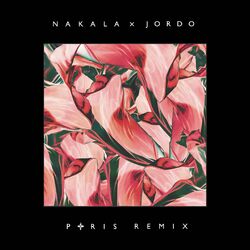 Cover of Paris (Remix)