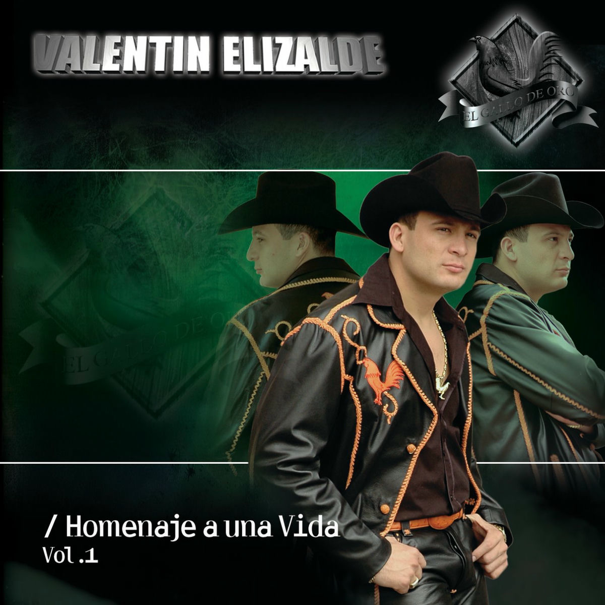 Album cover of Homenaje A Una Vida Vol 1