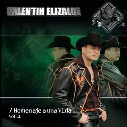 Cover of Homenaje A Una Vida Vol 1