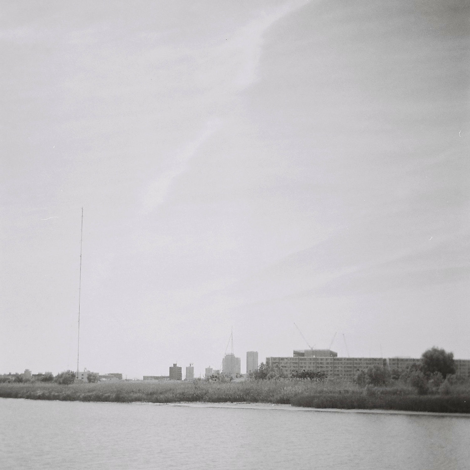 Album cover of FIELDS