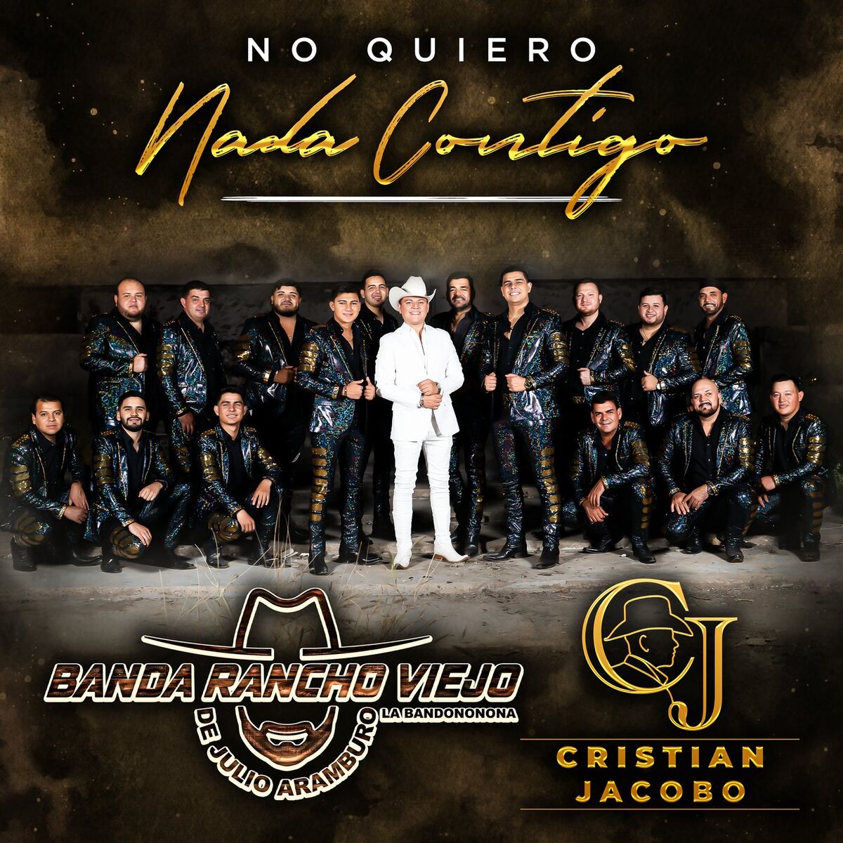 Album cover of No Quiero Nada Contigo