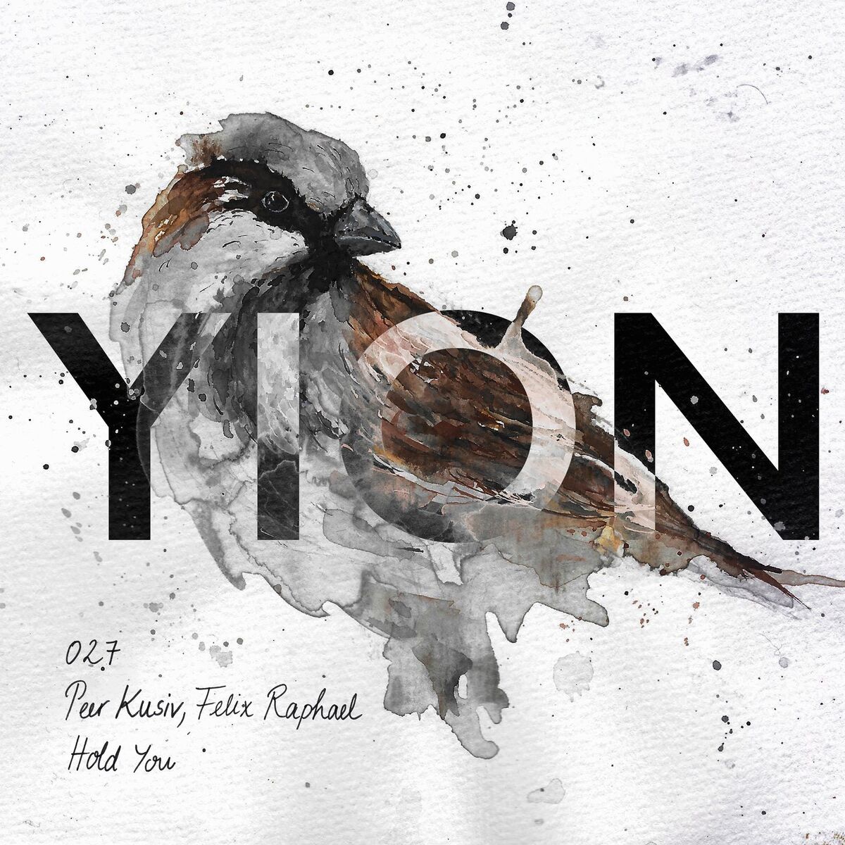 Album cover of Hold You