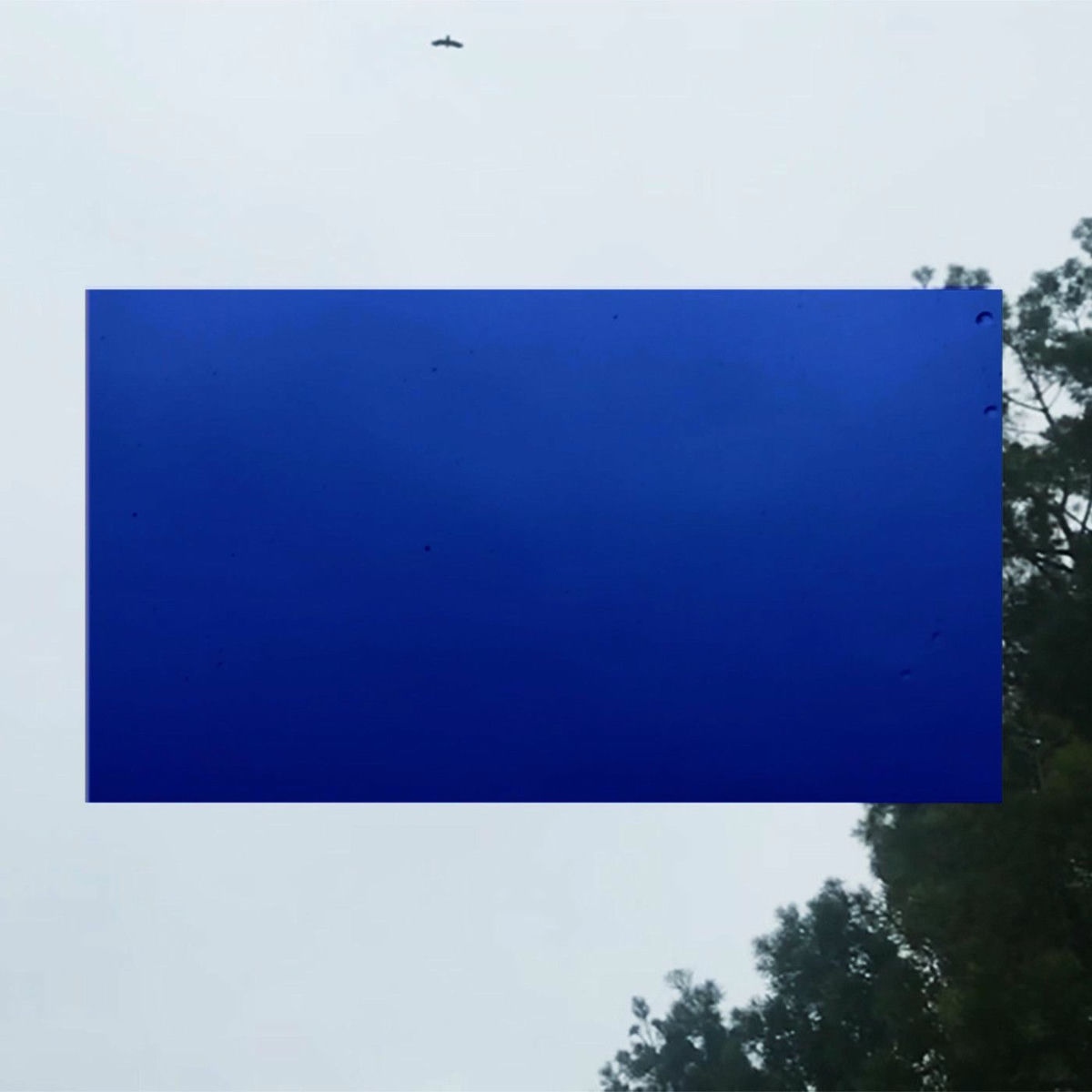 Album cover of Sapphire