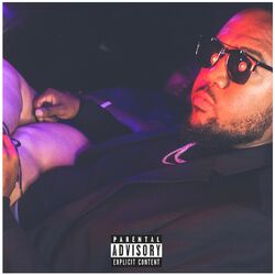 Cover of Like A Playa