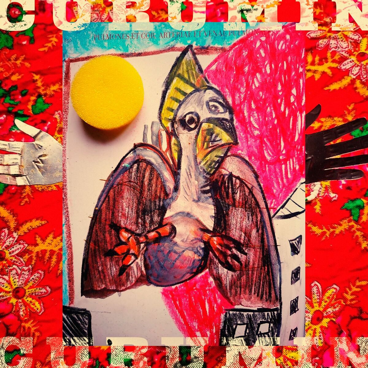 Album cover of Pisa / Corredor do mato dentro