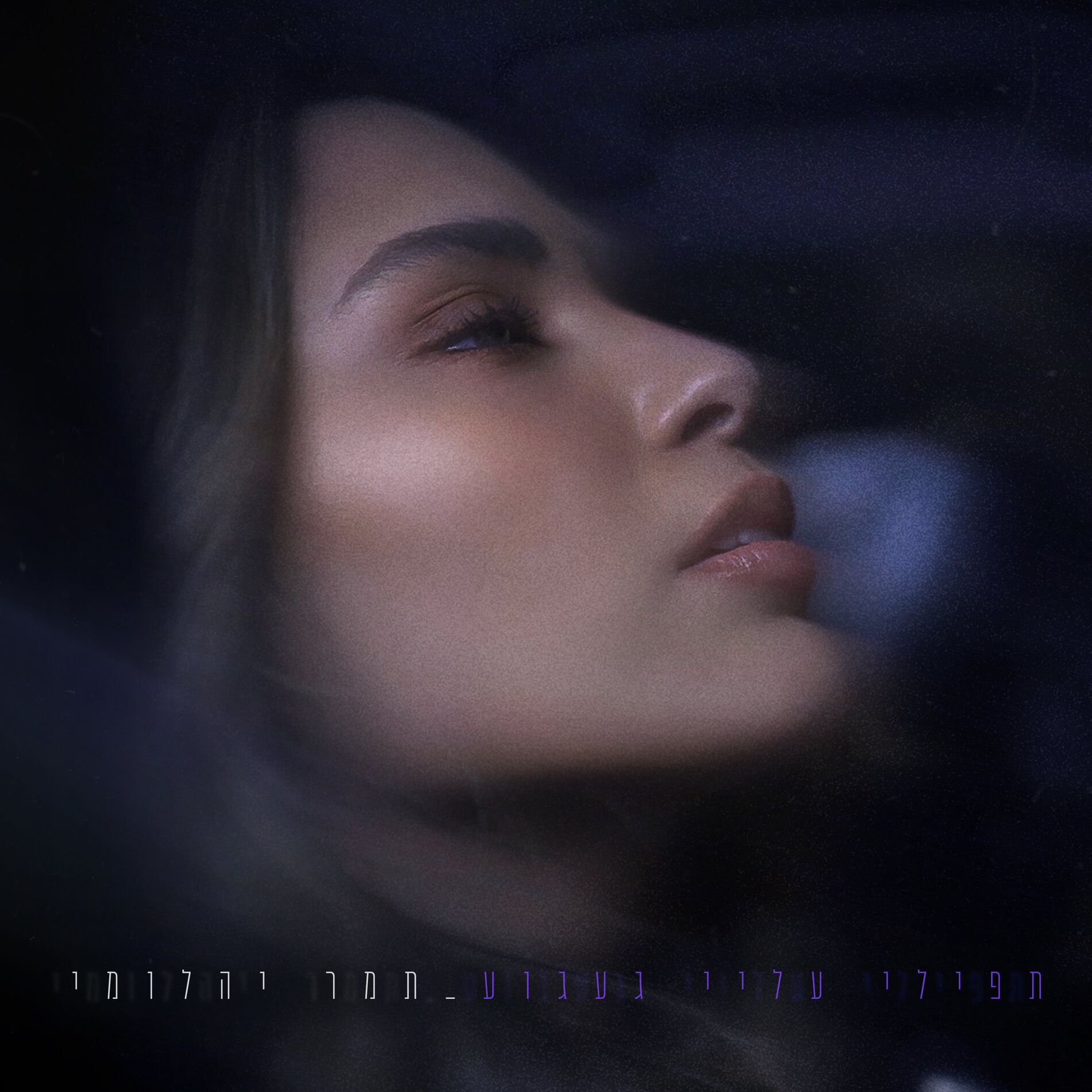 Album cover of תפילי עליי געגוע
