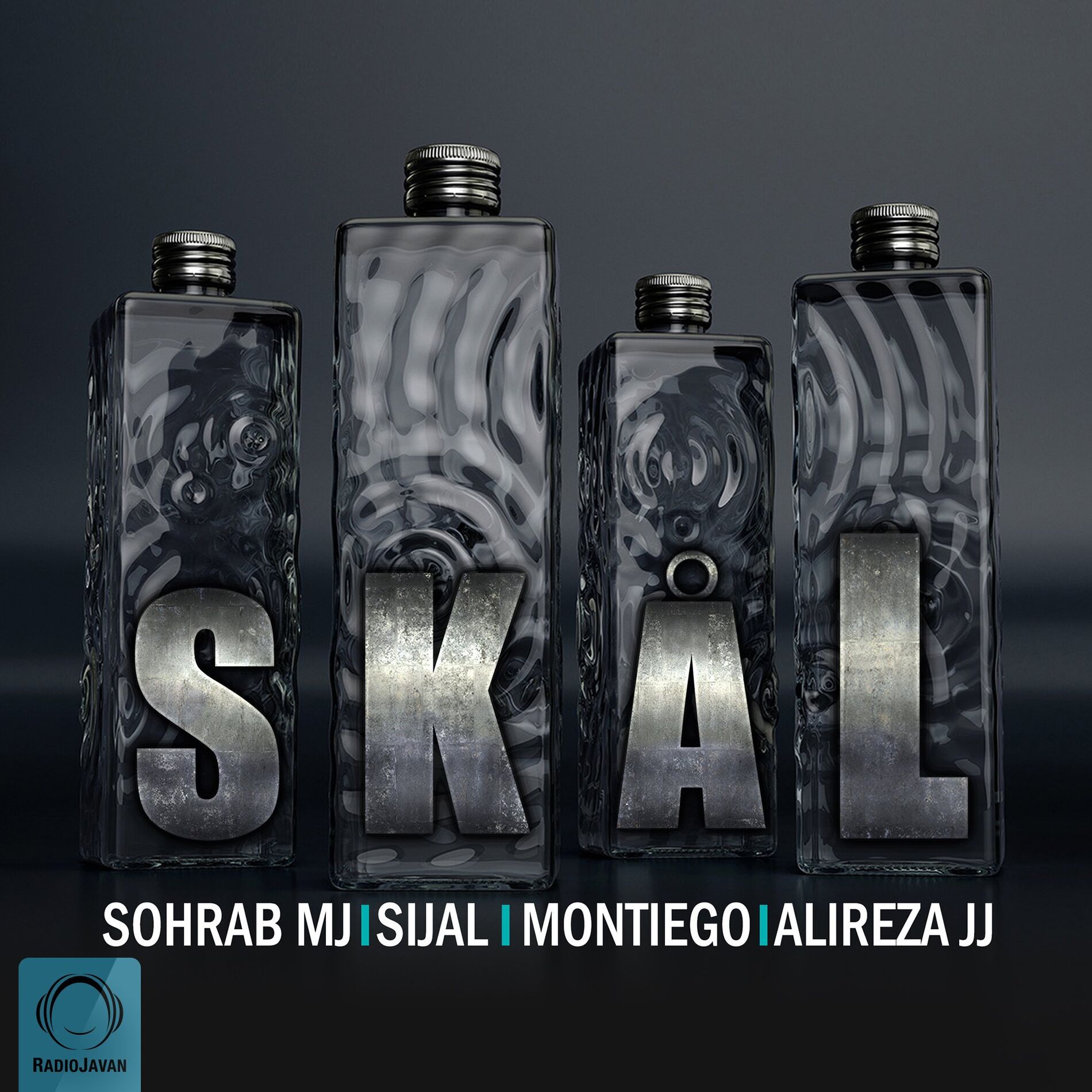 Album cover of Skal