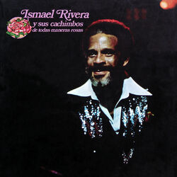 Cover of De Toda Maneras Rosas