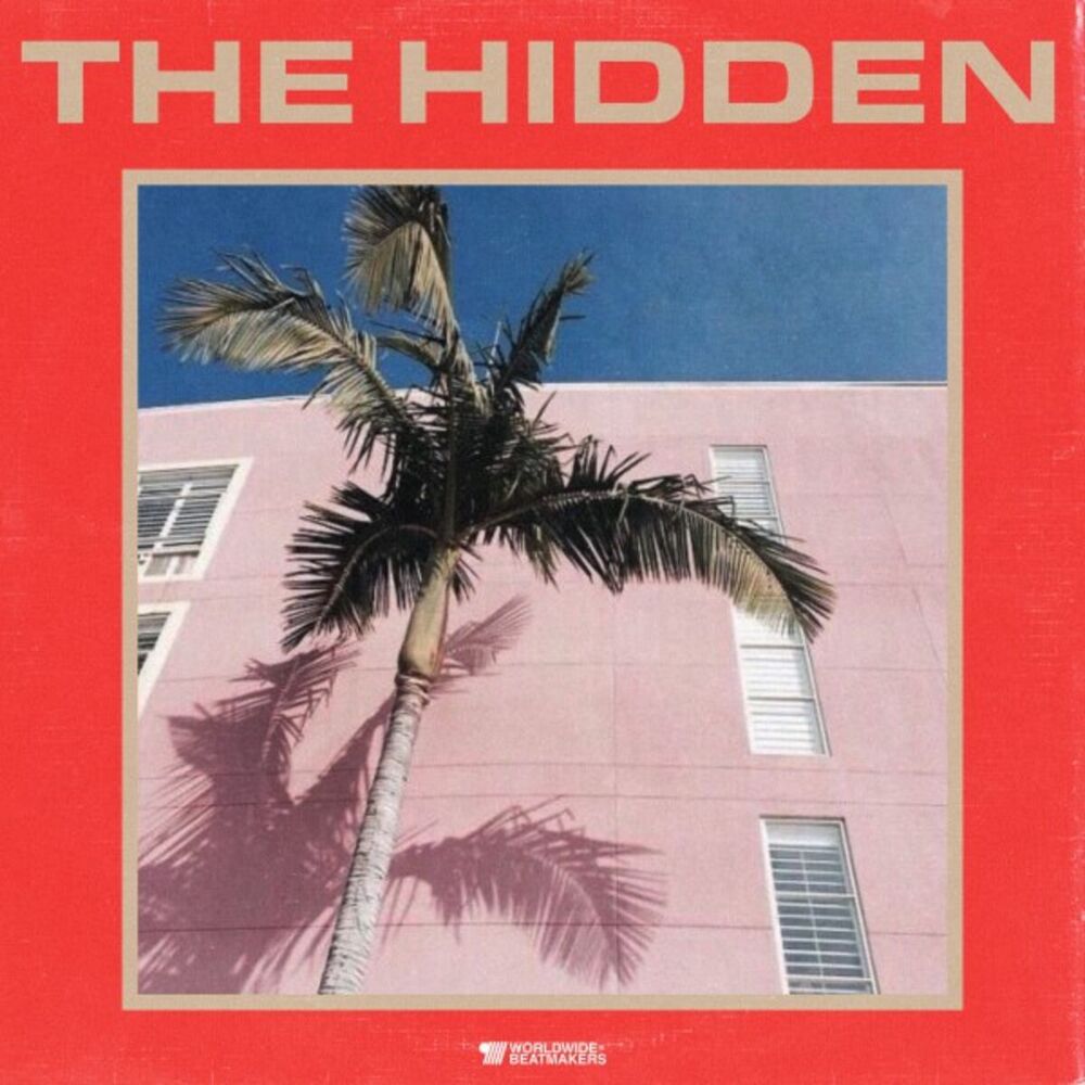 Picture of The Hidden