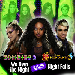 Cover of We Own the Night/Night Falls Mashup