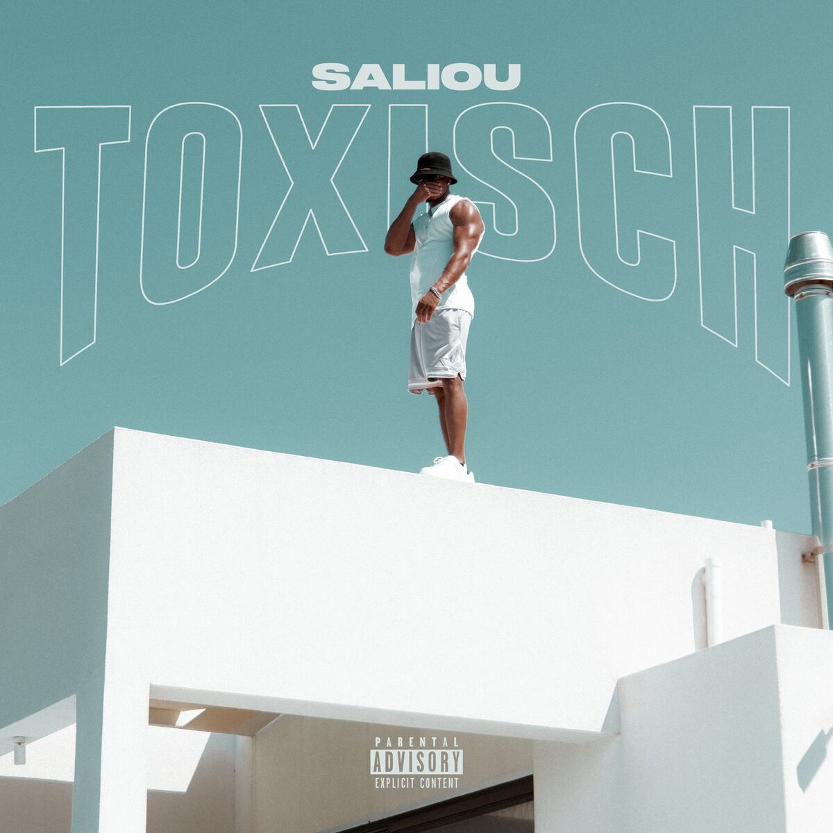 Album cover of Toxisch