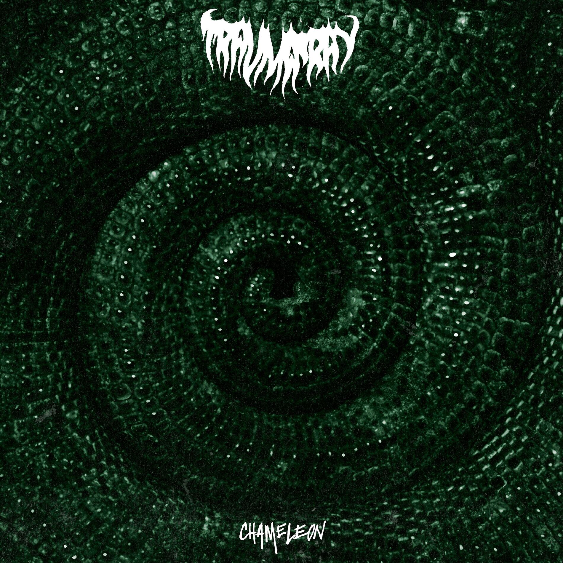 Album cover of Chameleon