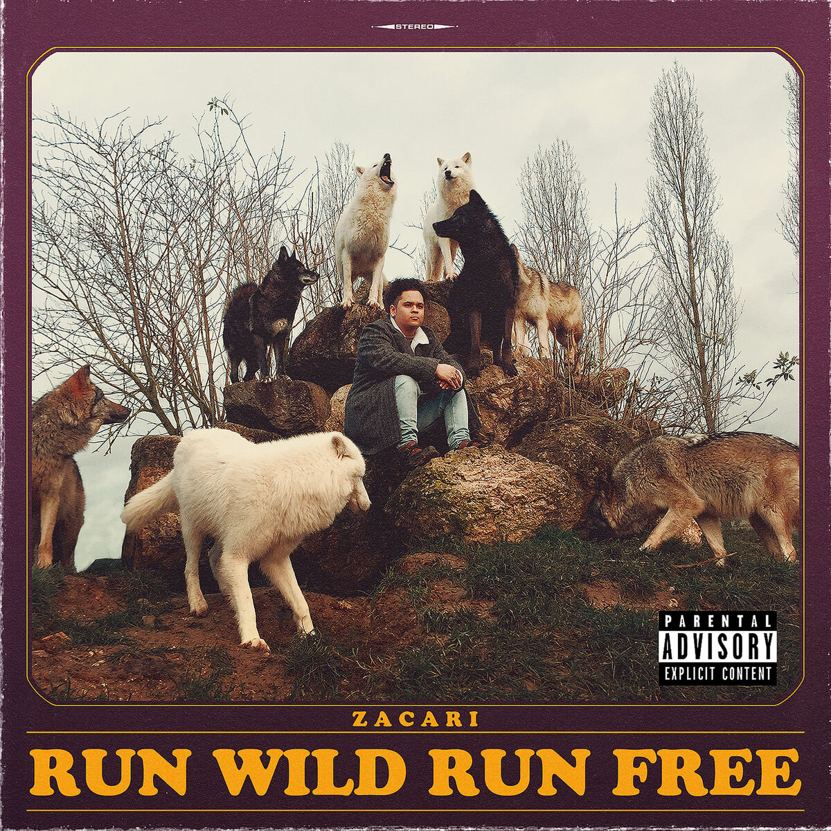 Album cover of Don't Trip
