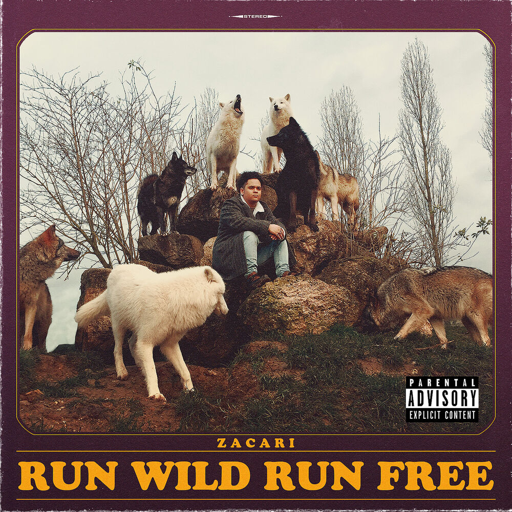 Picture of Run Wild Run Free
