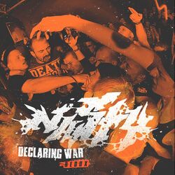 Cover of Declaring War - Redux