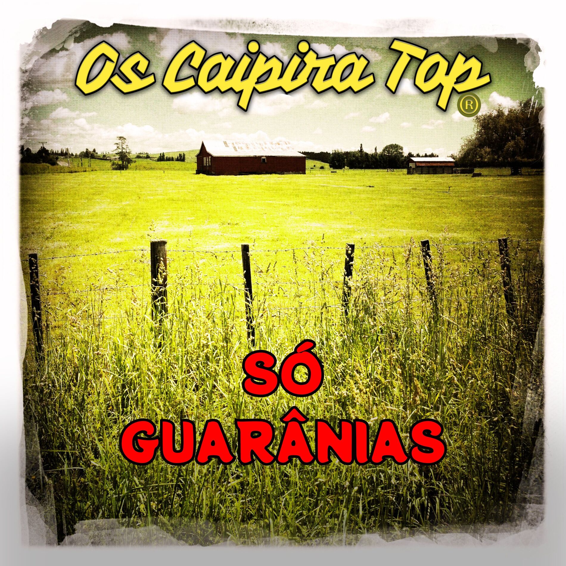 Album cover of Estrela de Ouro