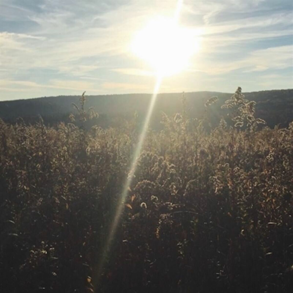 Album cover of God Only Knows