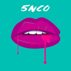 Cover of 5nco