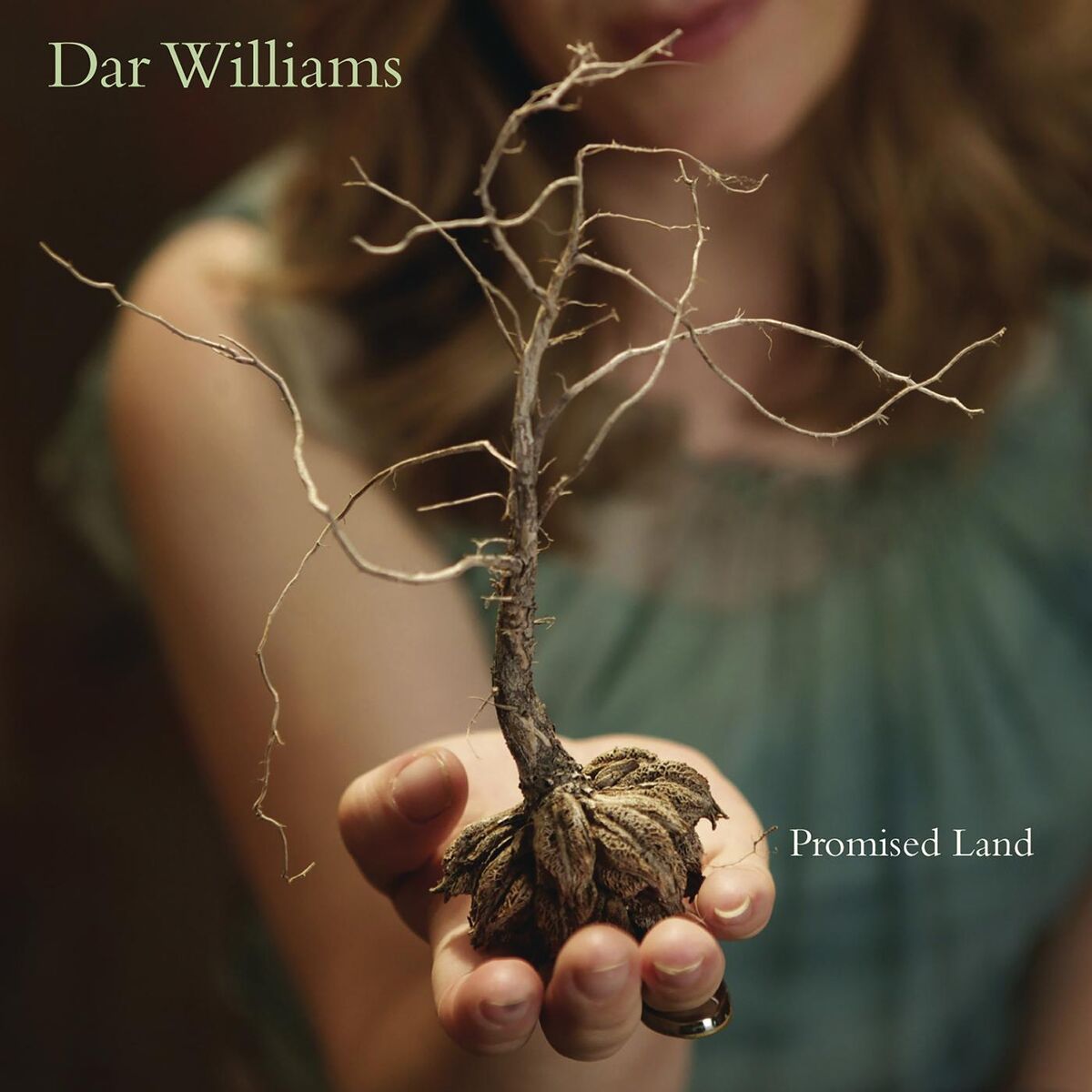 Album cover of Promised Land