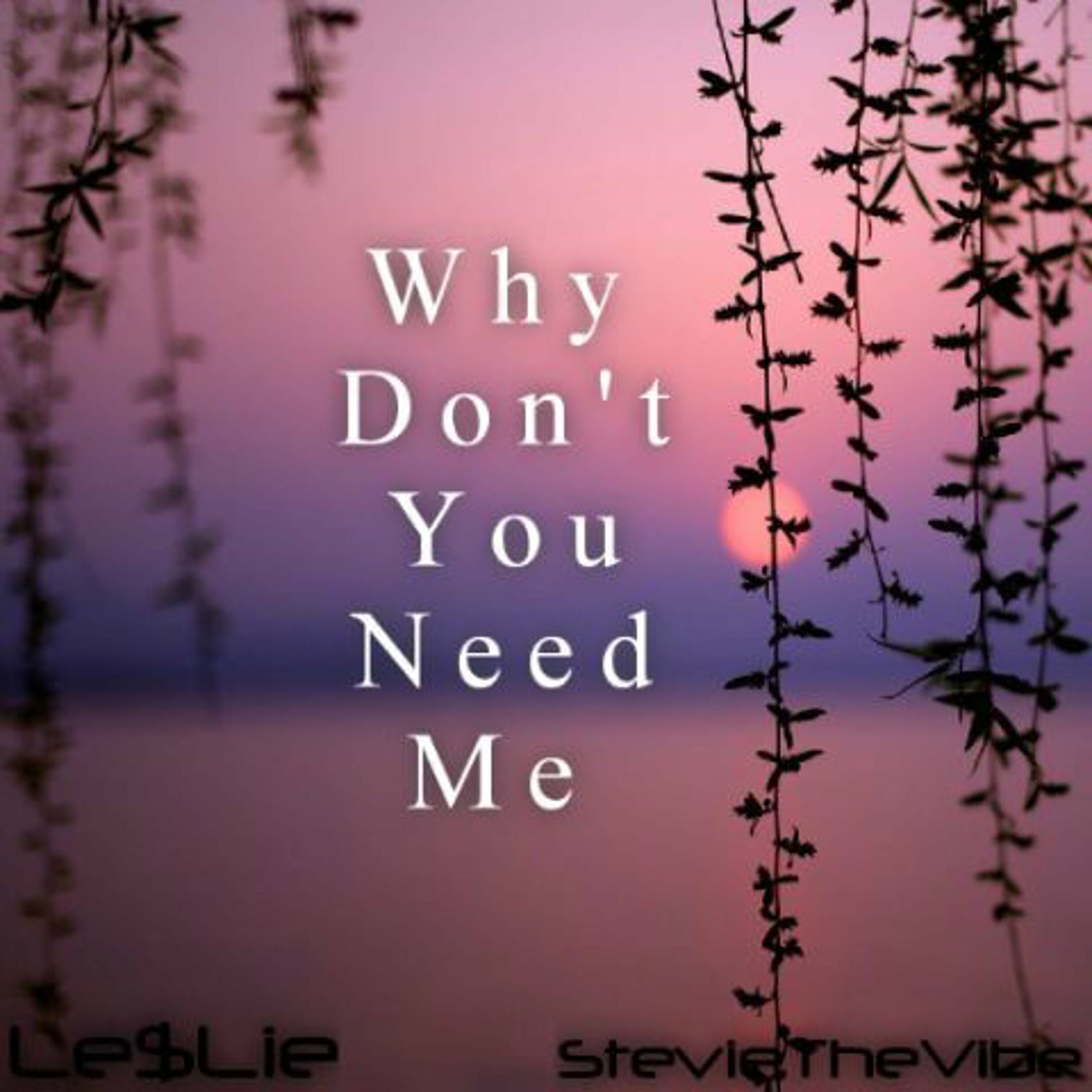 Album cover of Why Don't You Need Me